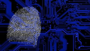 Expert Witness Guide