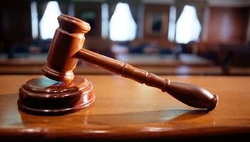 Expert Witness Guide