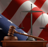 Expert Witness Guide