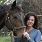 The Equine Expert LLC Expert Witness: The Equine Expert LLC